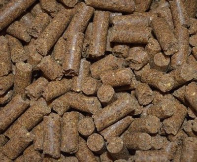 ALLERGIE BROK | 100% NATUURLIJK GEPERST | UUT TWELLE 