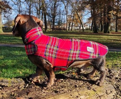 TECKEL FLEECE JAS | SCHOTSE RUIT | ROOD
