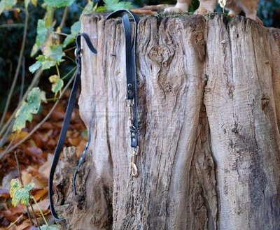 HASHTECKEL'S TECKEL RIEM | LEER | ZWART
