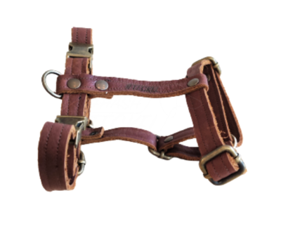 HASHTECKEL'S TECKEL H-TUIG | LEER | COGNAC