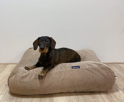 LICHAAMSVORMEND HONDENBED | RIBCORD | BEIGE