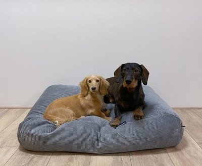 LICHAAMSVORMEND HONDENBED | RIBCORD | GRIJS