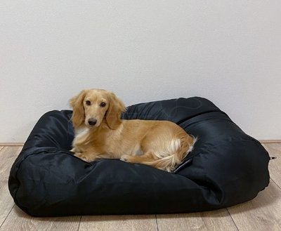 LICHAAMSVORMEND HONDENBED | WATERAFSTOTEND | ZWART