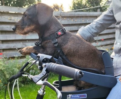 BUDDYRIDER | DACHSHUND BICYCLE PET SEAT 