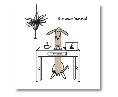 FRECKLE WENSKAART | NIEUWE BAAN! | MET ENVELOP