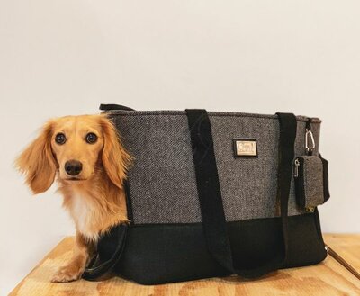 DACHSHUND CARRY BAG | UP TO 8 KG | GREY & BLACK