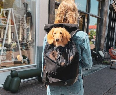 DACHSHUND DOG BACKPACK | UP TO 6 KG | BLACK