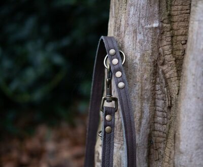 HASHTECKEL'S DACHSHUND LEASH | LEATHER | CHOCOLATE BROWN