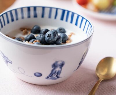 NHAAN TECKEL YOGHURT SCHAALTJE | DELFTS BLAUW