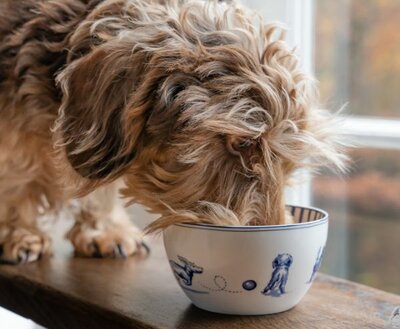 NHAAN DACHSHUND BOWL | DELFTS BLUE