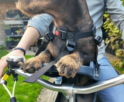 BUDDYRIDER | DACHSHUND BICYCLE PET SEAT 