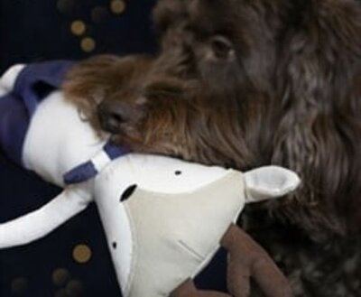 KERST SPEELGOED | RENDIER