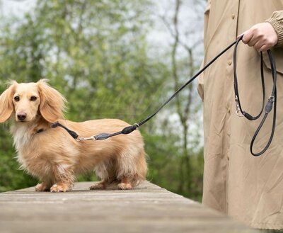 ADJUSTABLE LEASH | ROUND-SEWN LEATHER | BLACK SILVER