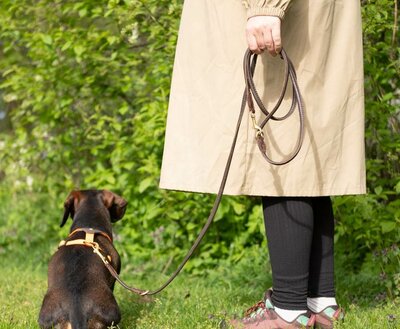 ADJUSTABLE LEASH | ROUND-SEWN LEATHER | BROWN BRASS