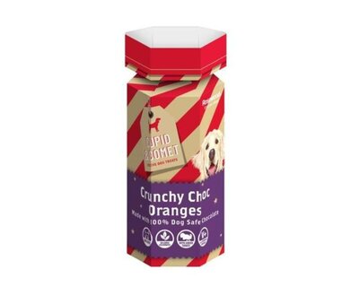 CRUNCHY CHOCO HONDENKOEKJES | CRACKER 