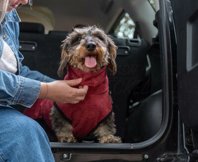 DACHSHUND BATHROBE | BURGUNDY