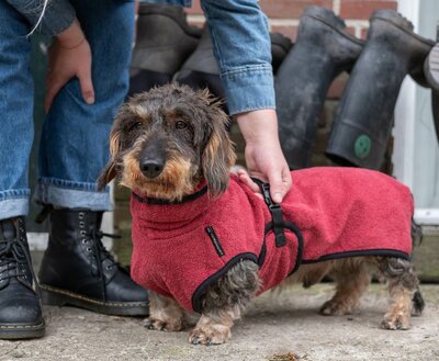 DACHSHUND BATHROBE | BURGUNDY