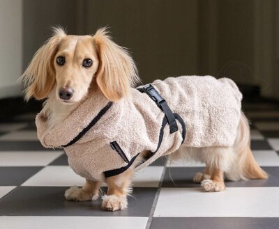 DACHSHUND BATHROBE | BEIGE