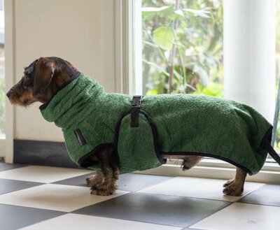 DACHSHUND BATHROBE | GREEN