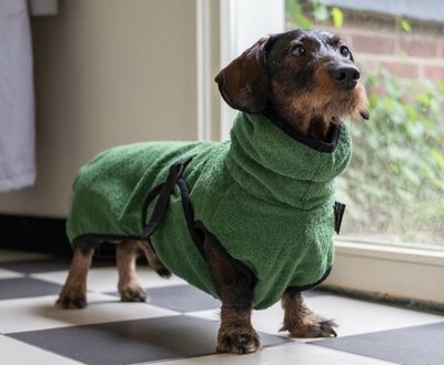 DACHSHUND BATHROBE | GREEN