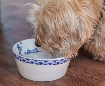 NHAAN DACHSHUND FOOD BOWL | DELFTS BLUE