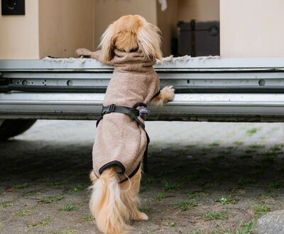 DACHSHUND BATHROBE | COFFEE