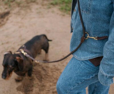 ADJUSTABLE LEASH | ROUND-SEWN LEATHER | BROWN BRASS