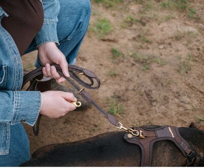 VERSTELBARE RIEM | RONDGENAAID LEER | BRUIN MESSING