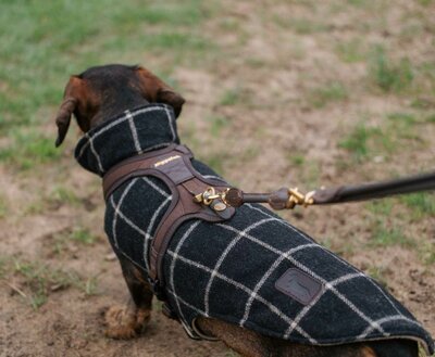 DACHSHUND Y-HARNESS | FOLLOW LIGHT | NIGGELOH