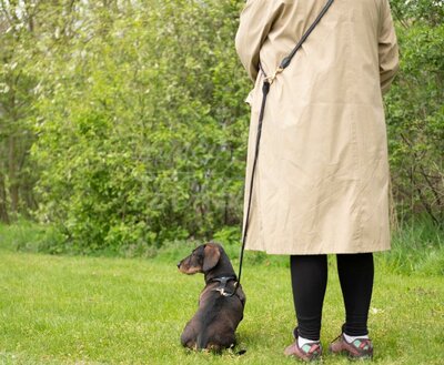 ADJUSTABLE LEASH | ROUND-SEWN LEATHER | BLACK BRASS