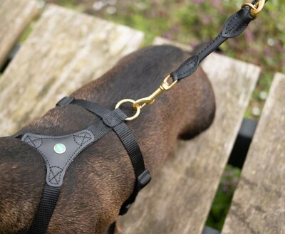 ADJUSTABLE LEASH | ROUND-SEWN LEATHER | BLACK BRASS