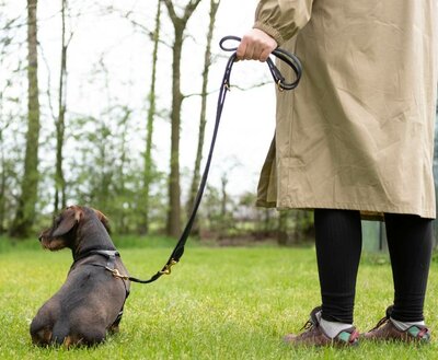 ADJUSTABLE LEASH | ROUND-SEWN LEATHER | BLACK BRASS