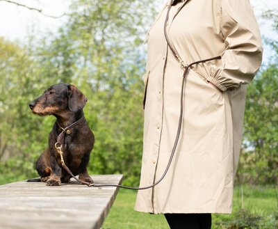 ADJUSTABLE LEASH | ROUND-SEWN LEATHER | BROWN SILVER