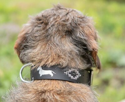 DACHSHUND COLLAR | LEATHER | BLACK SILVER