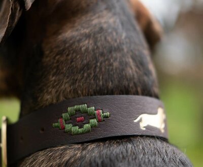 DACHSHUND COLLAR | LEATHER | BROWN GOLD