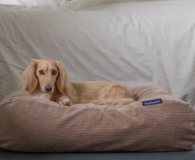 LICHAAMSVORMEND HONDENBED | BEIGE RIBCORD