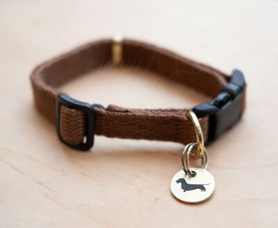 TECKEL PUPPY BEGINSET | HENNEP | BRUIN