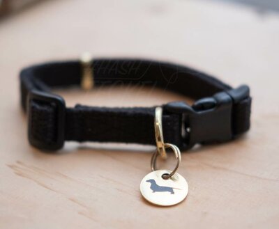 TECKEL PUPPY BEGINSET | HENNEP | ZWART