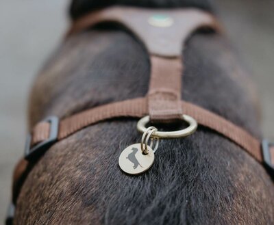 DACHSHUND CHARM | PENDANT
