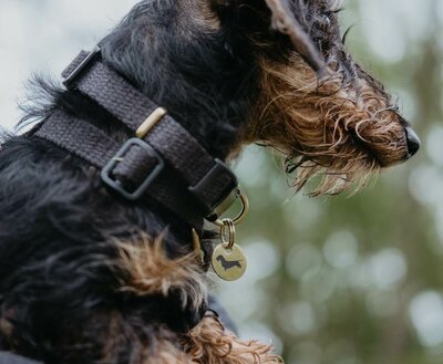 DACHSHUND CHARM | PENDANT