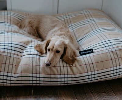 BODY SHAPING DOGBED | BURBERRY