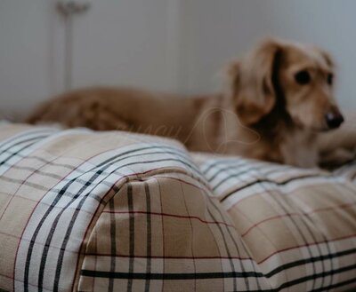 BODY SHAPING DOGBED | BURBERRY