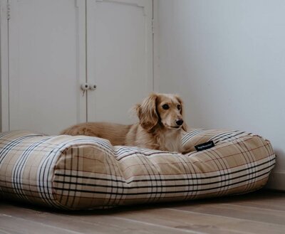 BODY SHAPING DOGBED | BURBERRY