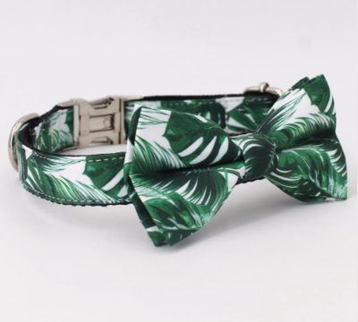 HALSBAND, RIEM & VLINDERDAS | SET | TROPISCH