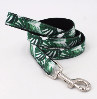 HALSBAND, RIEM & VLINDERDAS | SET | TROPISCH