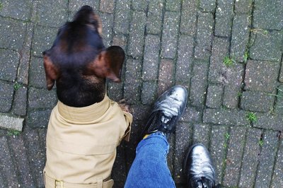 TECKEL JAS | TRENCHCOAT KHAKI