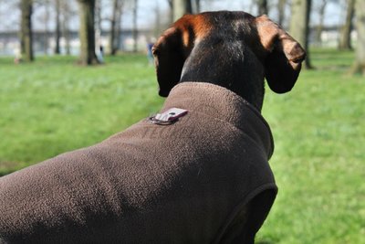 TECKEL TRUI | FLEECE CHOCO