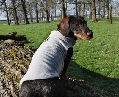 TECKEL TRUI | FLEECE GRIJS