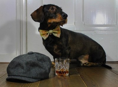 VLINDERDAS | TWEED & TARTAN BEIGE