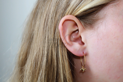TECKEL OORRINGEN | GOUD | ORELIA JEWELRY